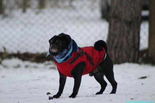 0300657a-b839-4e6a-b5e5-2e6bcc58a3c1