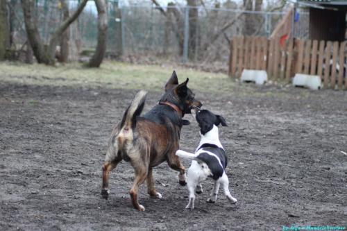 031d2c78-d529-413a-ac83-4e7ef1486f3f