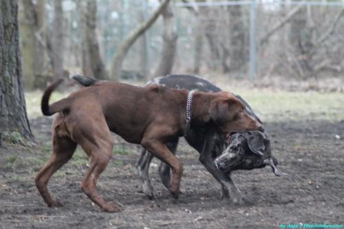 04816e3b-694f-4782-b77e-e3e1b4295178