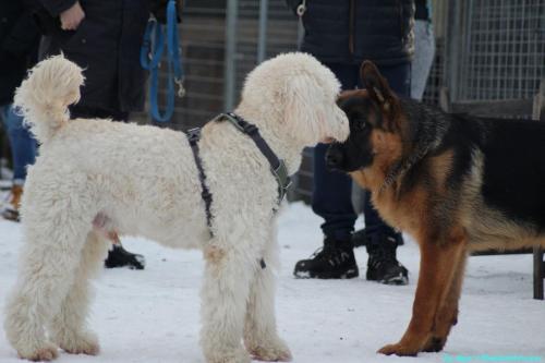 055e42d9-acd5-483d-87d0-83c3e81abb68