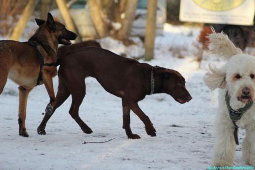 075306bc-4fc0-48a9-bf38-fb6d3f7c70a0