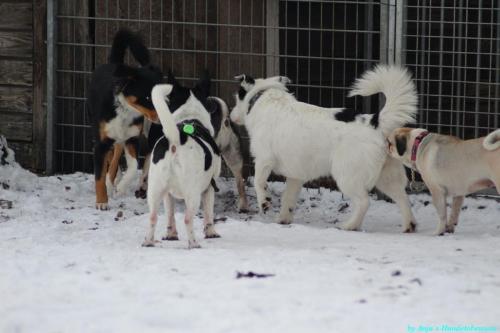 07c832e7-d3bb-46a5-bac5-4e7ceb90410c