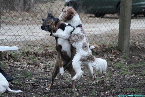 07fd82f0-306e-46a3-8a03-d58bc97f0170