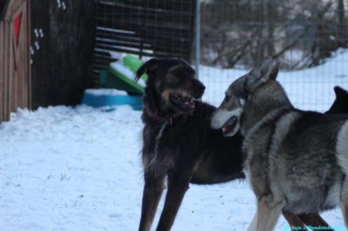 0820050b-60f0-4401-b54b-9d784c614c03