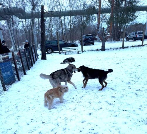 0a87c33b-f495-46c0-8482-e3dd3bcdebb6