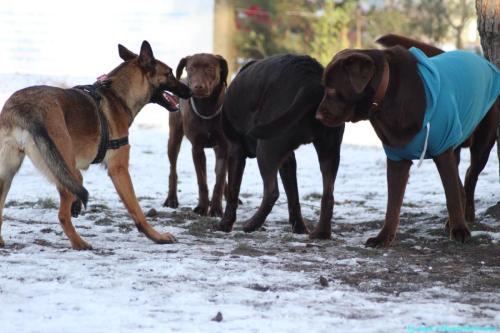 0acbd426-9c67-4284-82ba-63661fce530c