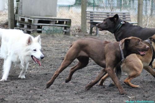 0cacad0e-4e87-4ef3-bef5-20664b136311