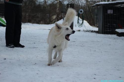 0dfb114d-cdbe-4ef8-8fb4-bca7ea1f7947