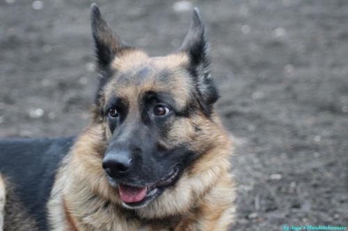 111ee838-74bf-492f-9595-d7faa43390e0