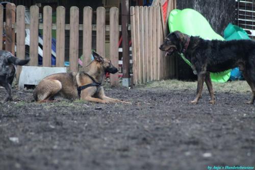 14fcf4f0-24ae-4914-a4e5-0f407c6c253f