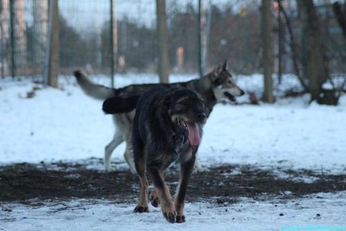 1818eb3f-ba82-4653-9139-a68bbe620405