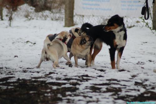 19286858-ac61-4f82-ac7a-e765963e24b6