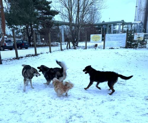 1e17c219-ba35-4dd9-b171-a3672aa9add6