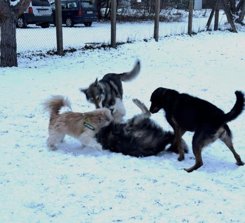 1e3d3858-8cc7-4936-92c9-94b0a218031b