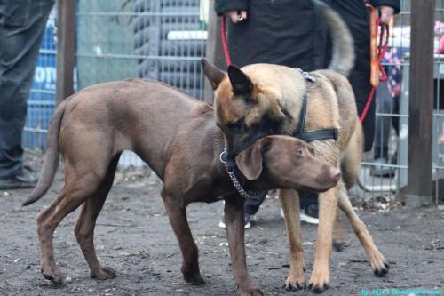 1fa2c83e-4571-4944-ba43-eb0875f1bfc5