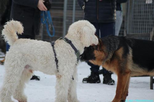 23893011-244c-492f-a9a5-a917318698ce