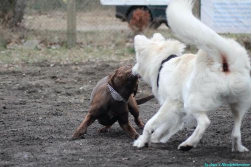 23d36abe-4d68-4db7-a791-e3bd90500f9d