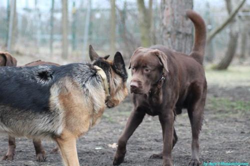 246f2c01-886e-4713-badf-66074723ccf8