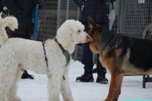 26279de6-8bbf-4a74-9305-4c63c910936d