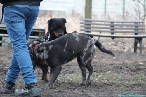 26e1417f-9544-40f3-bb49-b56bb9602bbf