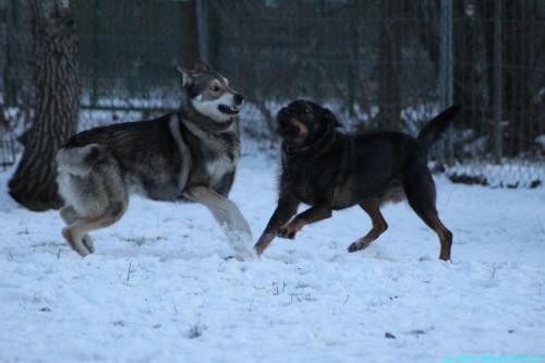 2ae0e6f3-ef9d-48ed-90c9-54b20329be1d