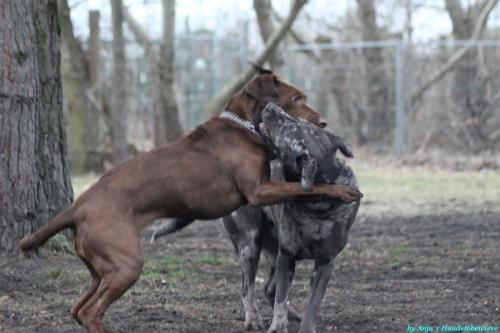 2b586203-131d-4b2c-96df-17597dbe35d0