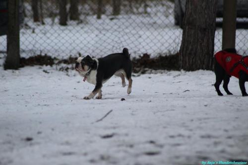 2c91eb4f-e145-46f3-846f-fb855b9c11a9