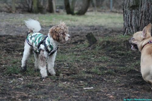 30333bdb-8754-4799-9a3e-b4771a3056b2