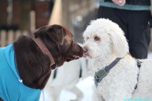 30567396-2cd2-41d2-8f0e-cf009257a387