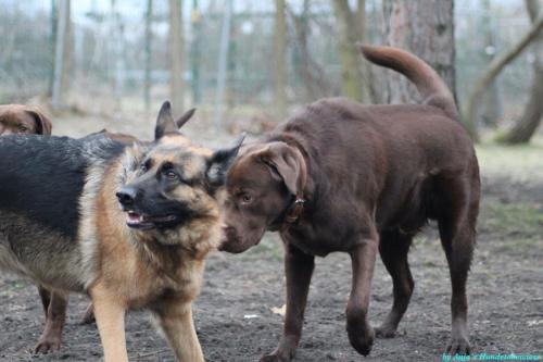 3167e6d5-3b00-4c85-a8ee-7c13cfe486a8