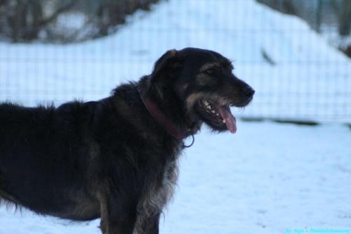 35dd9aff-1118-49d1-9103-c92c845bb797