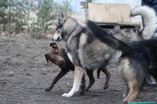 36e0509d-d172-41c8-a40a-39a60afa0748