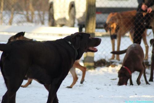 38541d56-0249-41c4-9367-2a381f3ff503