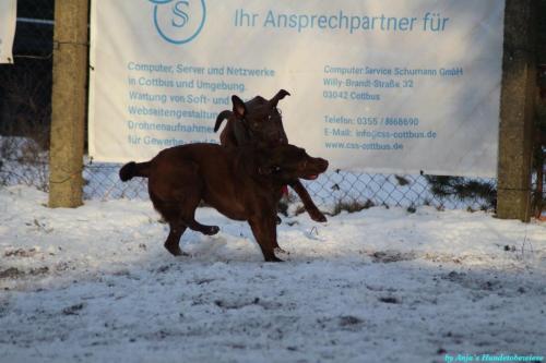 3adab2e6-38e2-4687-9f17-bcd7014dcbee