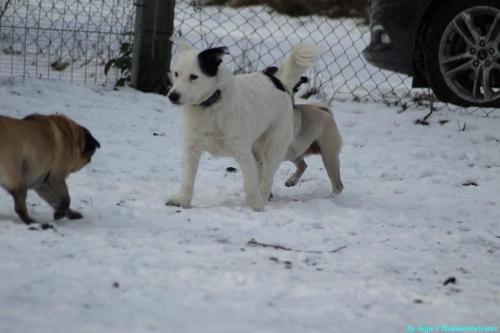 3c106ba9-8029-4070-9928-a977b5fec9e2