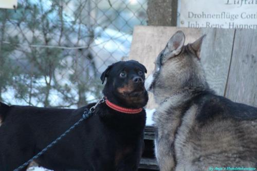 3cdb006f-2f90-49b8-a1d0-68a9c8d904b9