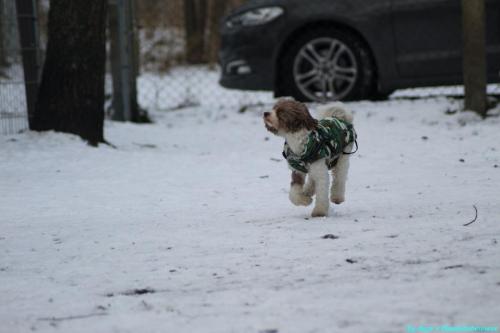 3e68dd64-1020-472b-bbfc-3e2c7474596c