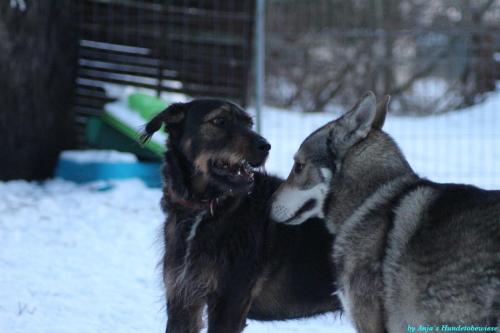 3f3a34dc-e746-4ba9-b0aa-8e7354695879