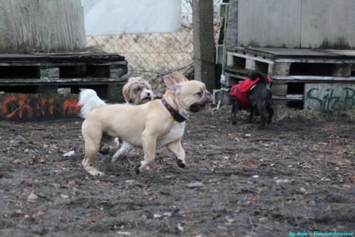 40a6988d-875d-4493-884e-810bc6166f30