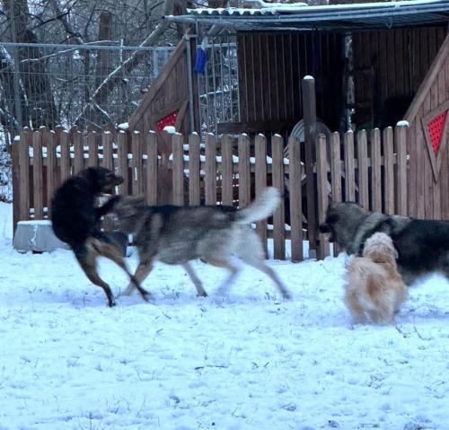 40b01746-f540-46d8-827c-84d525770def