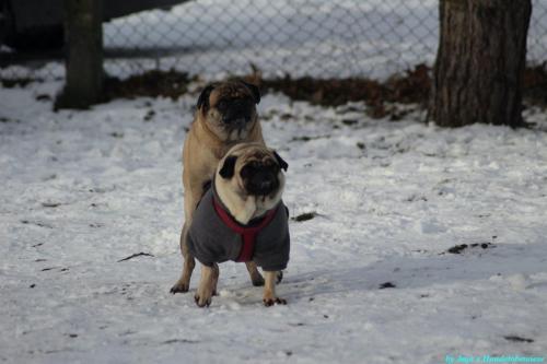 40d90781-f5e9-49ea-b719-68f34165e12c