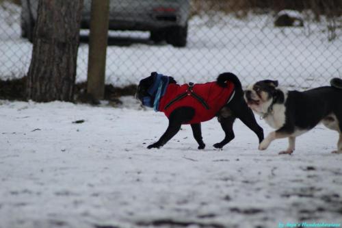 4106e92d-6d10-400b-9d62-0438751374f7