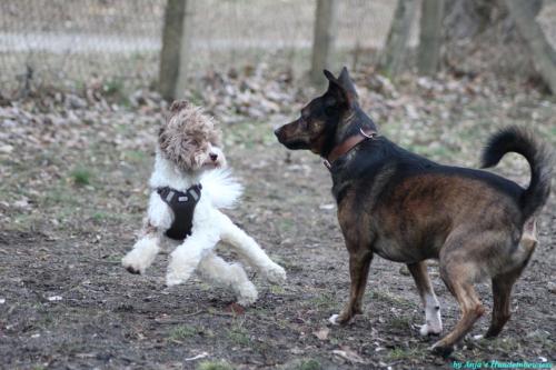 442ded8d-addd-4c2d-90af-36fc36c18f94