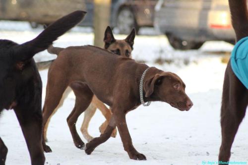 442e7c6a-96b5-4f64-b6a2-7d3955252624