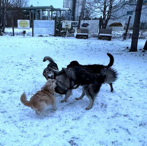 46aaed61-167b-450e-a365-df1fe7f05584