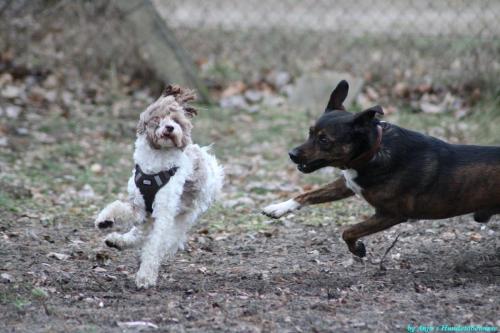 46db106b-06ee-4211-8bad-59f92aa89c26