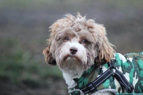 4947b6b8-c6af-4f26-aa60-fcf5b11e02d2