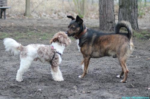 49821833-55fd-4a4a-a943-abb9653d4879