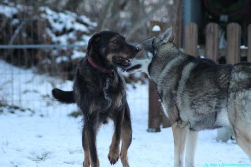 4eb3f74f-df98-41d1-905c-380ac2f97f76