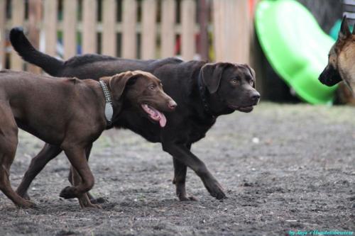 4ee437c2-af59-47ae-b928-4b1b4d56f64c